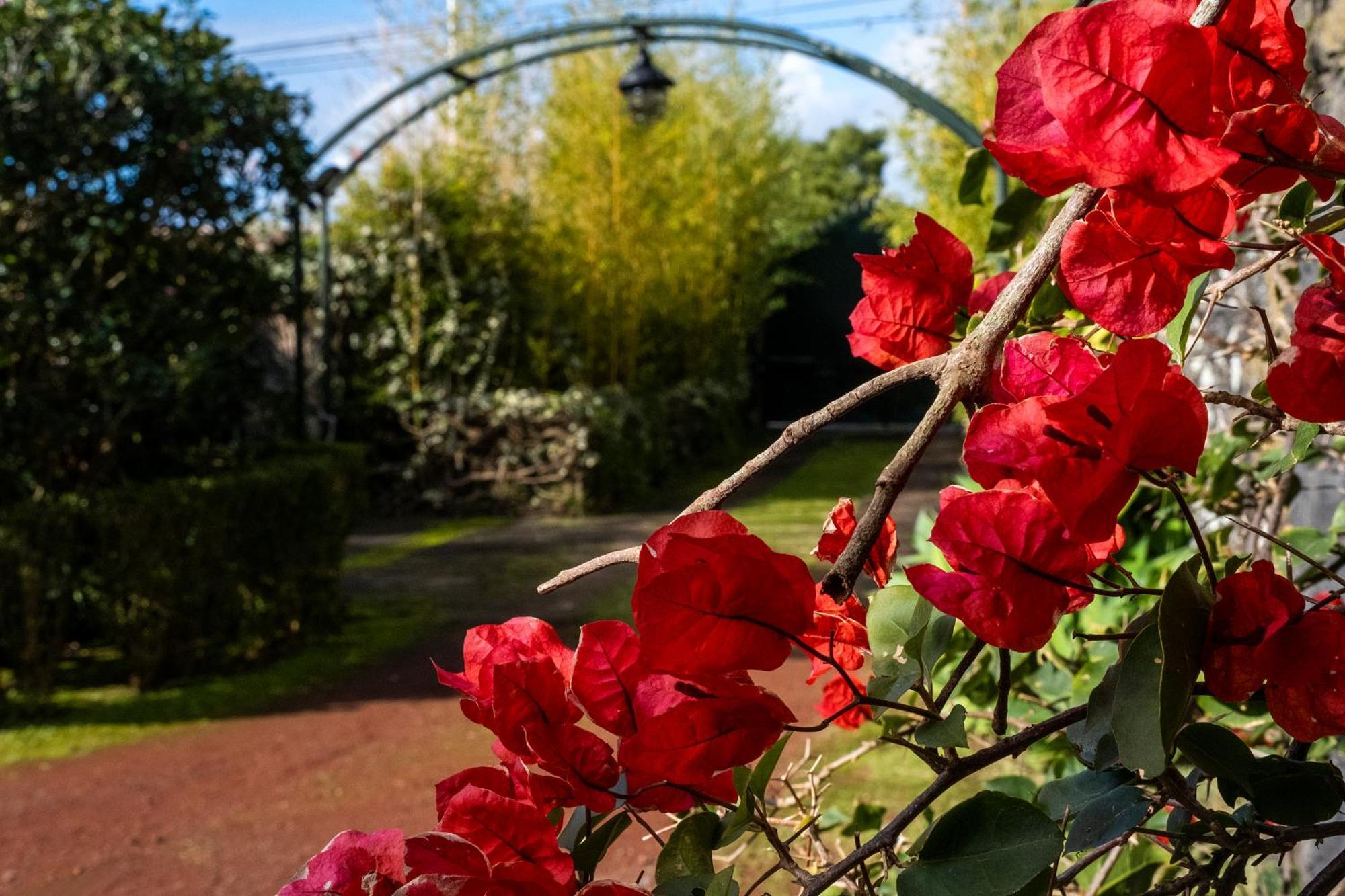 Casa Villa Garden 蓬塔德尔加达 外观 照片